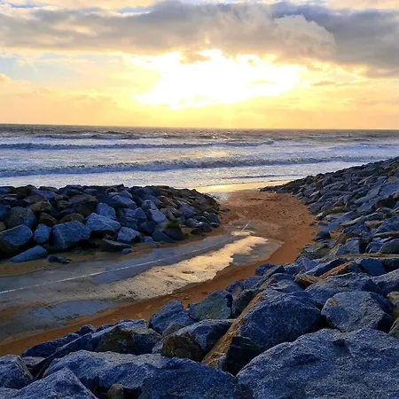 Chez Aurore & Jeremy En Vendee - Jolie Maison Cosy Pres Des Plages De L'atlantique Ferienhaus